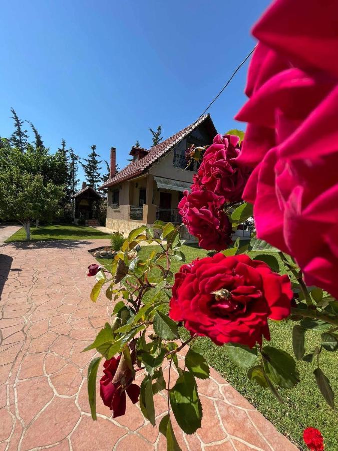 Villa Katerina Nea Kallikrateia Екстериор снимка